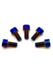 Titanium E-Moto Sprocket Bolts - Surron | Talaria | E-Ride Pro | Altis | Rawr | 79 Bike | Ventus | Throne